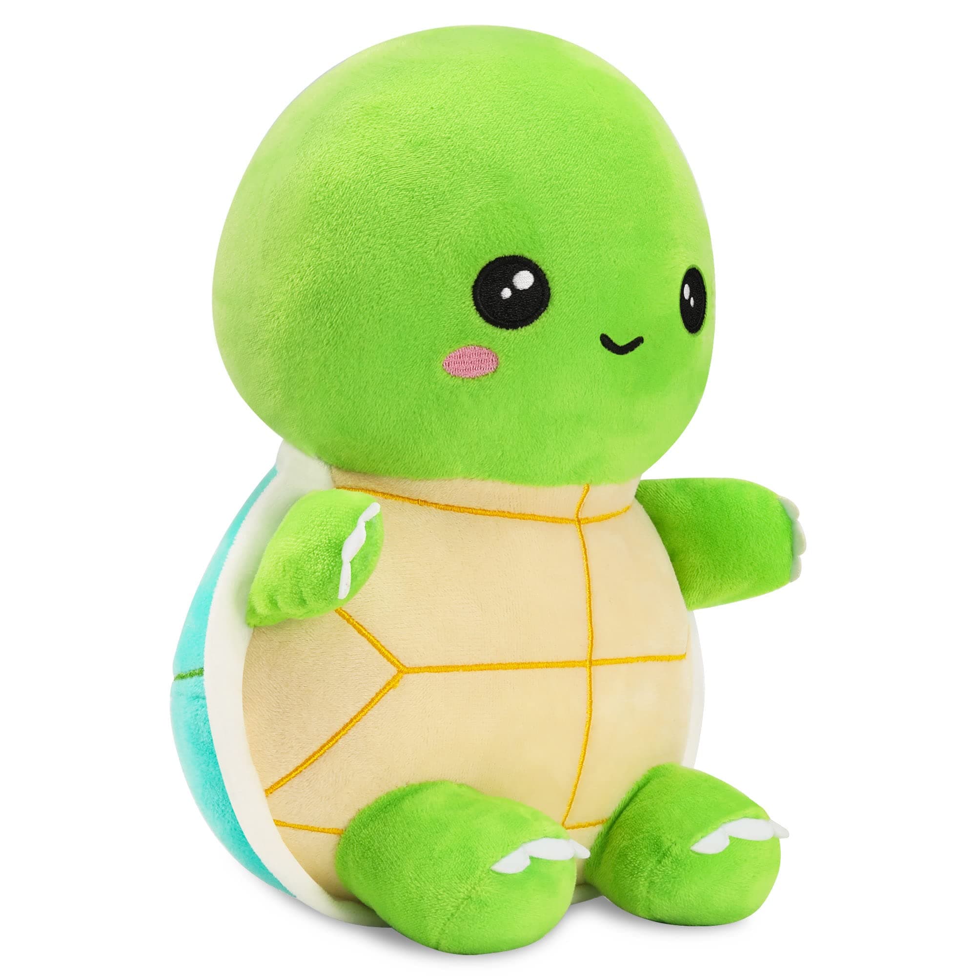 Cute Turtle